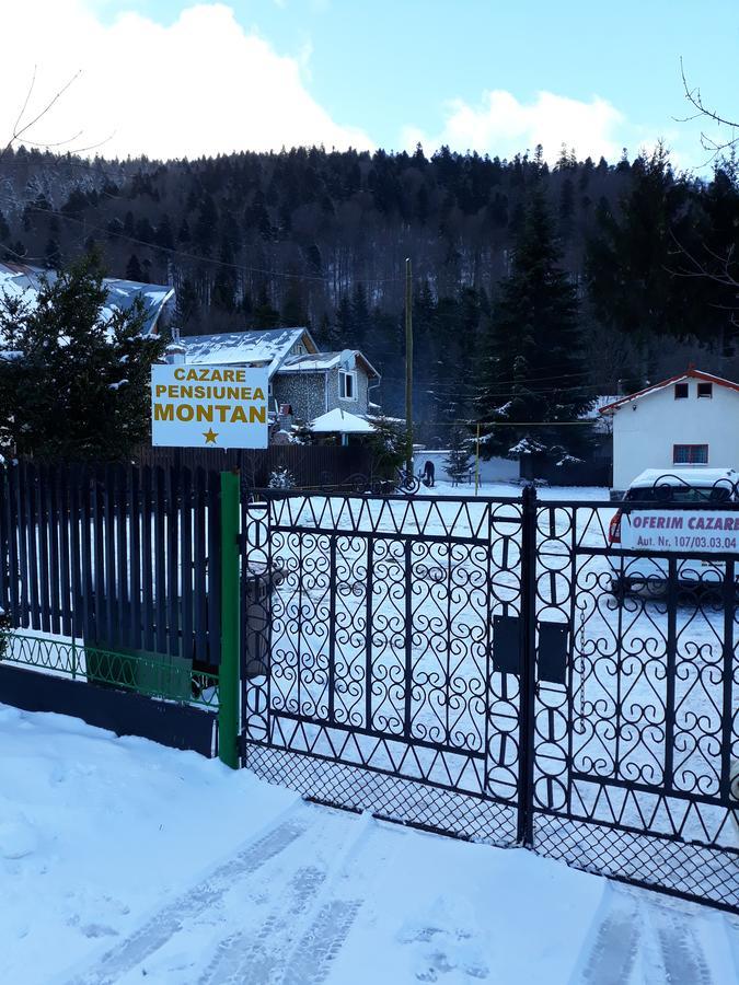 Pensiunea Montan Buşteni Eksteriør billede