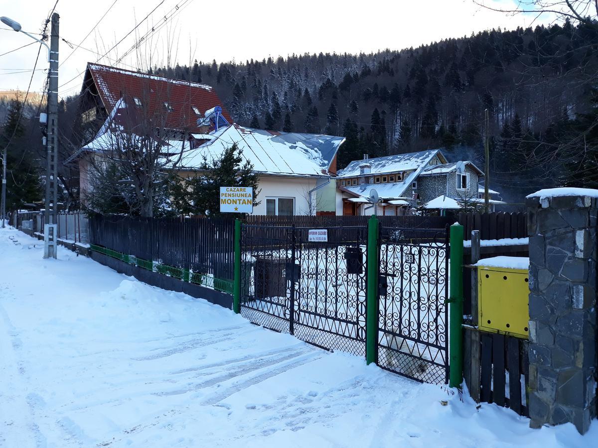 Pensiunea Montan Buşteni Eksteriør billede